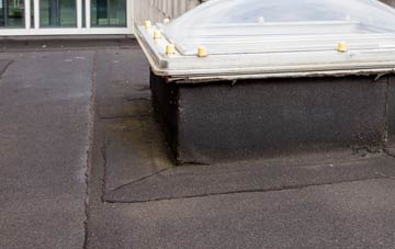 disadvantages of West Perry flat roofs