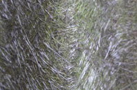 West Perry fibreglass roof work